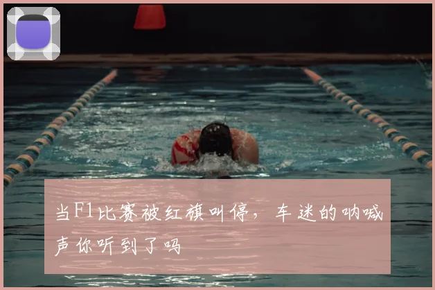 当F1比赛被红旗叫停，车迷的呐喊声你听到了吗
